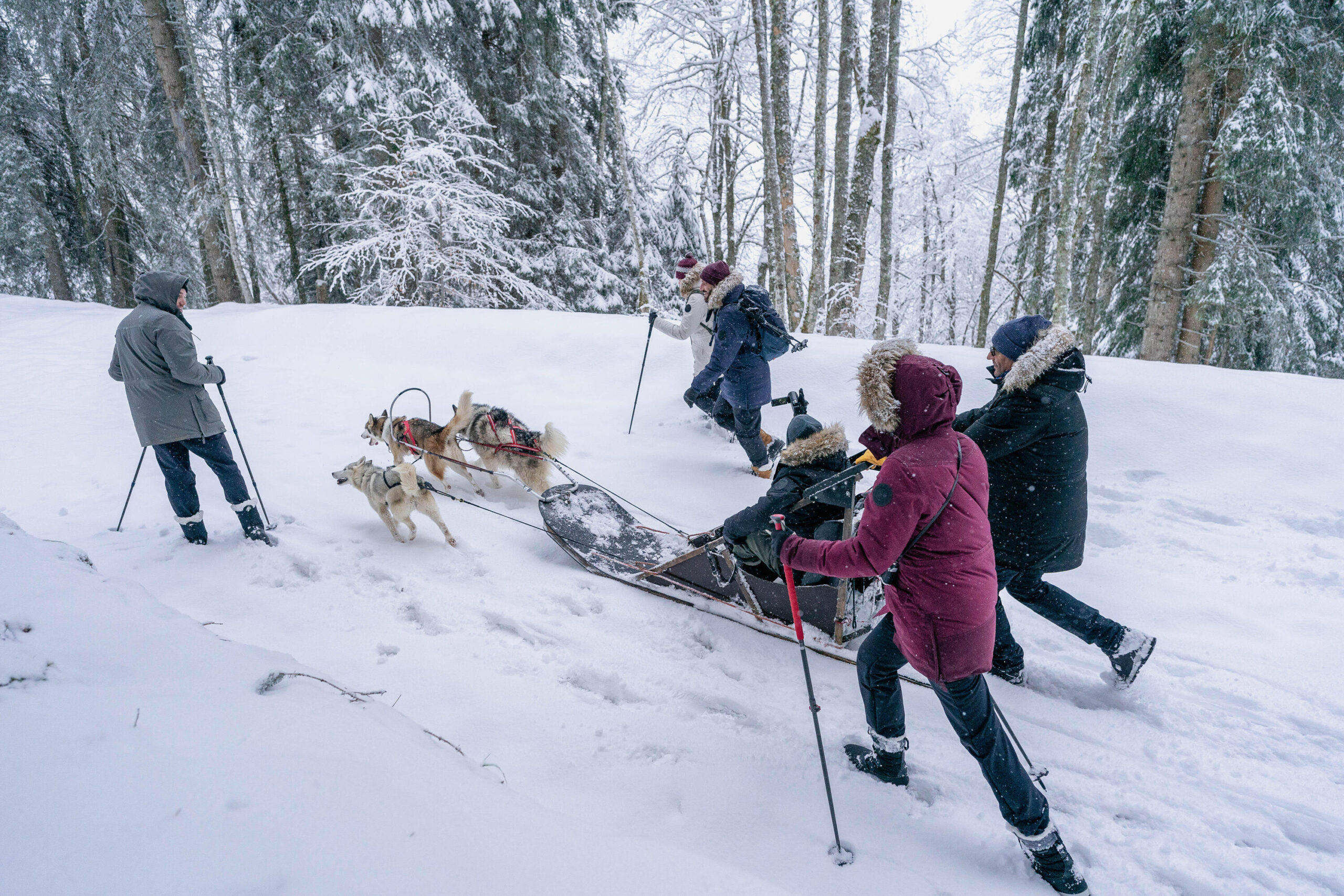 Quechua Women's NH500 Water-Repellent Snow Hiking Pants - Image 22